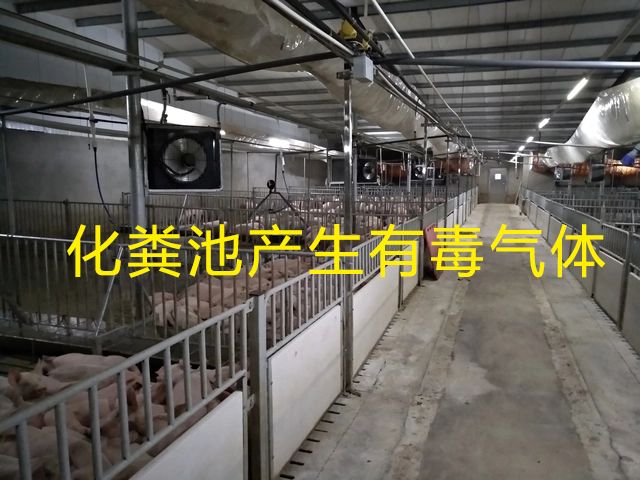 養(yǎng)豬場化糞池發(fā)生氣體中毒 養(yǎng)豬場化糞池發(fā)生氣體中毒